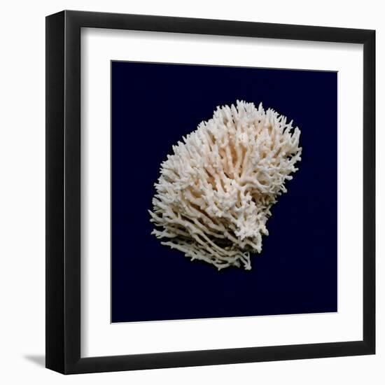 Ocean Blue 8-Julie Greenwood-Framed Art Print