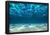 Ocean Bottom, View Beneath Surface-Cico-Framed Poster