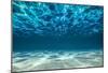 Ocean Bottom, View Beneath Surface-Cico-Mounted Poster