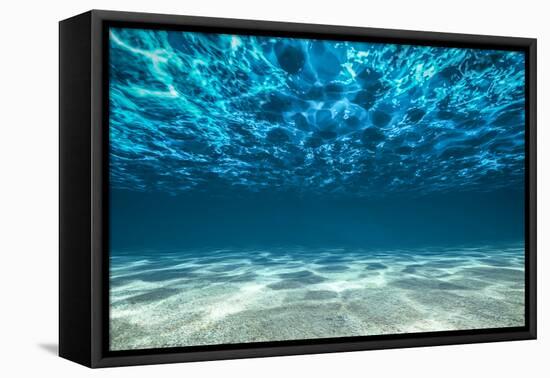 Ocean Bottom, View Beneath Surface-Cico-Framed Stretched Canvas