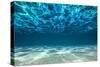 Ocean Bottom, View Beneath Surface-Cico-Stretched Canvas