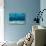 Ocean Bottom, View Beneath Surface-Cico-Stretched Canvas displayed on a wall