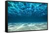 Ocean Bottom, View Beneath Surface-Cico-Framed Stretched Canvas