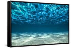 Ocean Bottom, View Beneath Surface-Cico-Framed Stretched Canvas