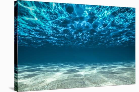 Ocean Bottom, View Beneath Surface-Cico-Stretched Canvas