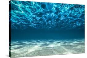 Ocean Bottom, View Beneath Surface-Cico-Stretched Canvas