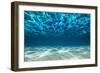 Ocean Bottom, View Beneath Surface-Cico-Framed Photographic Print