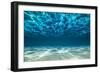 Ocean Bottom, View Beneath Surface-Cico-Framed Photographic Print