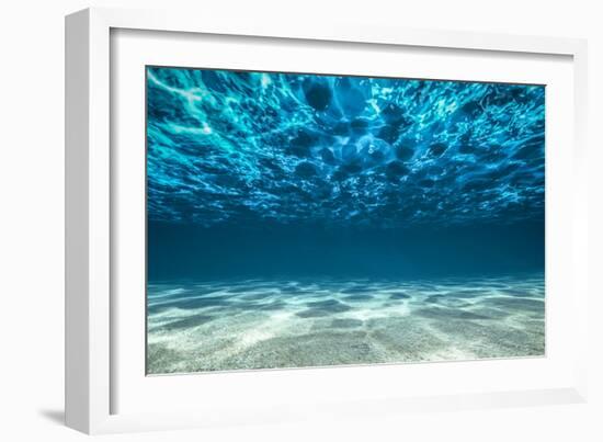 Ocean Bottom, View Beneath Surface-Cico-Framed Photographic Print