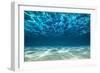 Ocean Bottom, View Beneath Surface-Cico-Framed Photographic Print