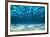 Ocean Bottom, View Beneath Surface-Cico-Framed Photographic Print