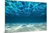 Ocean Bottom, View Beneath Surface-Cico-Mounted Photographic Print