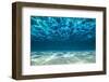 Ocean Bottom, View Beneath Surface-Cico-Framed Photographic Print