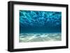 Ocean Bottom, View Beneath Surface-Cico-Framed Photographic Print