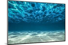 Ocean Bottom, View Beneath Surface-Cico-Mounted Photographic Print