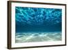 Ocean Bottom, View Beneath Surface-Cico-Framed Photographic Print