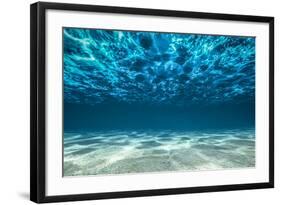 Ocean Bottom, View Beneath Surface-Cico-Framed Photographic Print