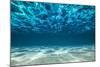 Ocean Bottom, View Beneath Surface-Cico-Mounted Photographic Print