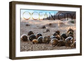 Ocean City, New Jersey - Group of Hermit Crabs-Lantern Press-Framed Art Print