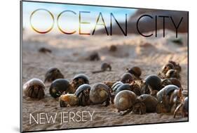 Ocean City, New Jersey - Group of Hermit Crabs-Lantern Press-Mounted Art Print