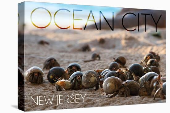 Ocean City, New Jersey - Group of Hermit Crabs-Lantern Press-Stretched Canvas