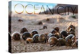 Ocean City, New Jersey - Group of Hermit Crabs-Lantern Press-Stretched Canvas