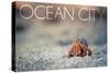 Ocean City, New Jersey - Hermit Crab on Beach-Lantern Press-Stretched Canvas