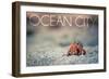 Ocean City, New Jersey - Hermit Crab on Beach-Lantern Press-Framed Art Print