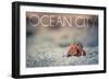 Ocean City, New Jersey - Hermit Crab on Beach-Lantern Press-Framed Art Print