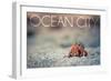 Ocean City, New Jersey - Hermit Crab on Beach-Lantern Press-Framed Art Print