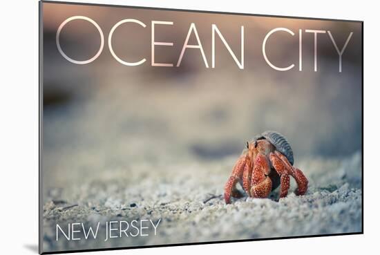 Ocean City, New Jersey - Hermit Crab on Beach-Lantern Press-Mounted Art Print