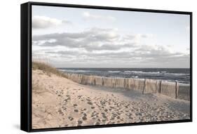 Ocean Clarity-Marlana Semenza-Framed Stretched Canvas