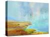 Ocean Cliffs-Michael Tienhaara-Stretched Canvas