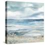 Ocean Collage-Carol Robinson-Stretched Canvas