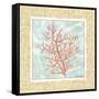 Ocean Coral-Chariklia Zarris-Framed Stretched Canvas