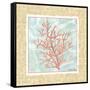 Ocean Coral-Chariklia Zarris-Framed Stretched Canvas