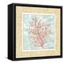 Ocean Coral-Chariklia Zarris-Framed Stretched Canvas