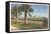 Ocean Drive, Corpus Christi-null-Framed Stretched Canvas