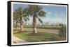 Ocean Drive, Corpus Christi-null-Framed Stretched Canvas