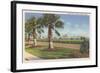 Ocean Drive, Corpus Christi-null-Framed Art Print