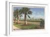 Ocean Drive, Corpus Christi-null-Framed Art Print