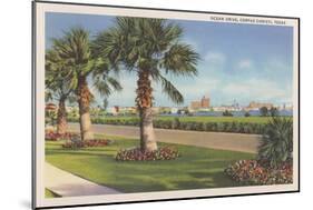 Ocean Drive, Corpus Christi-null-Mounted Art Print