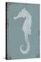 Ocean Fade - Seahorse-Ken Hurd-Stretched Canvas