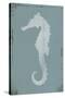 Ocean Fade - Seahorse-Ken Hurd-Stretched Canvas