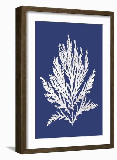 Ocean Feather - Adriatic-Tania Bello-Framed Giclee Print