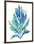 Ocean Feather I-null-Framed Giclee Print