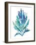 Ocean Feather I-null-Framed Giclee Print