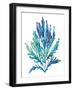 Ocean Feather I-null-Framed Giclee Print