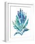 Ocean Feather I-null-Framed Giclee Print