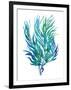 Ocean Feather II-null-Framed Giclee Print